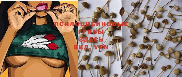 меф Богданович