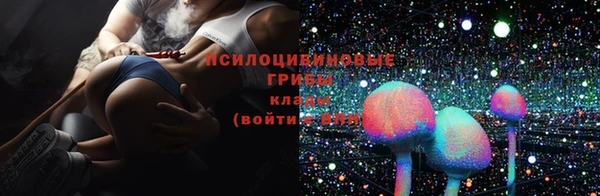 COCAINE Богородицк